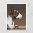 Recherche de bull terrier anglais cartes postales Illustration