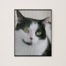 Recherche de chat noir blanc puzzles Mignon