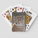 Recherche de mise jeux de cartes Jour