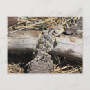 Recherche de corné cartes postales Mignon