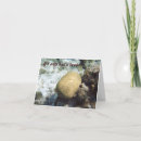 Recherche de excuses humoristiques vœux cartes Désolé