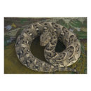 Recherche de charmeur de serpent posters Maroc