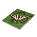 Recherche de papillon carreaux Noir