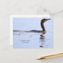 Recherche de cormoran cartes postales Cormoran à double crête