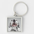 Recherche de chiens dalmatiens porteclés Animaux
