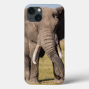 Recherche de safari ipad coques Éléphant