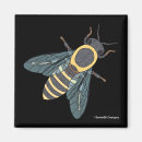 Recherche de insecte magnets Bestiole
