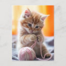 Recherche de petit fils cartes postales Pour tous