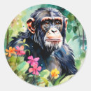 Recherche de chimpanzés autocollants Nature