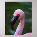Recherche de vibrant photographie Nature