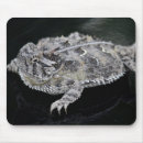 Recherche de reptile tapis souris Crapaud