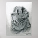 Recherche de dessin crayon graphite posters Portrait
