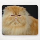 Recherche de longs cheveux tapis souris Animal