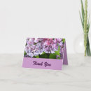 Recherche de hortensia pourpre vœux cartes Remerciez