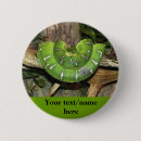 Recherche de serpents badges Vert