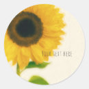 Recherche de grand tournesol autocollants Fleurs