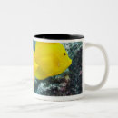 Recherche de pair tasses Nature