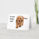 Recherche de chien drôle vœux cartes Gâteau