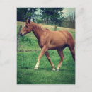 Recherche de gelatin cartes postales Gélatinage