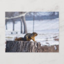 Recherche de souches cartes postales Arbres