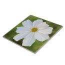 Recherche de cosmos carreaux Floral