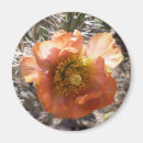 Recherche de fleurs de cactus magnets Orange
