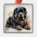 Recherche de tibétain ornements Dog