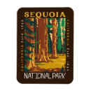 Recherche de séquoia Parc national de séquoia