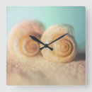 Recherche de nautilus horloges Plage