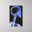 Recherche de corps ver art Humain