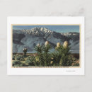 Recherche de yucca cartes postales Californie