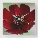 Recherche de cosmo horloges Pour tous