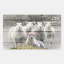 Recherche de moutons rectangles autocollants Agneau