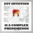 Recherche de intestin art Système digestif