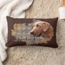 Recherche de labrador retriever décoration coussins Pour animaux