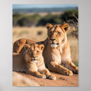 Recherche de cuill photographie Nature