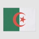 Recherche de drapeau l algérie travaux manuels fêtes Afrique