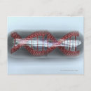 Recherche de brin cartes postales Image