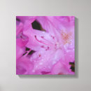 Recherche de enveloppe rose art Fleurs