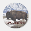 Recherche de le wyoming magnets Animaux
