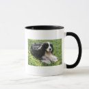 Recherche de épagneul de springer anglais tasses Noir et blanc