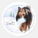 Recherche de chiens de berger autocollants Sheltie