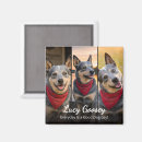 Recherche de citations de chien magnets Toute personne