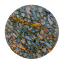 Recherche de dinosaure planches à découper Darrell gulin