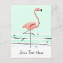 Recherche de flamant cartes postales Oiseaux tropicaux