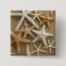 Recherche de étoiles de mer badges Vagues