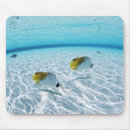 Recherche de maldives tapis souris Nature