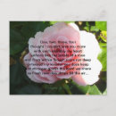 Recherche de poésie romantique cartes postales Rose