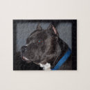 Recherche de pitbull puzzles Chiot