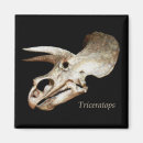 Recherche de paléontologie magnets Dinosaure